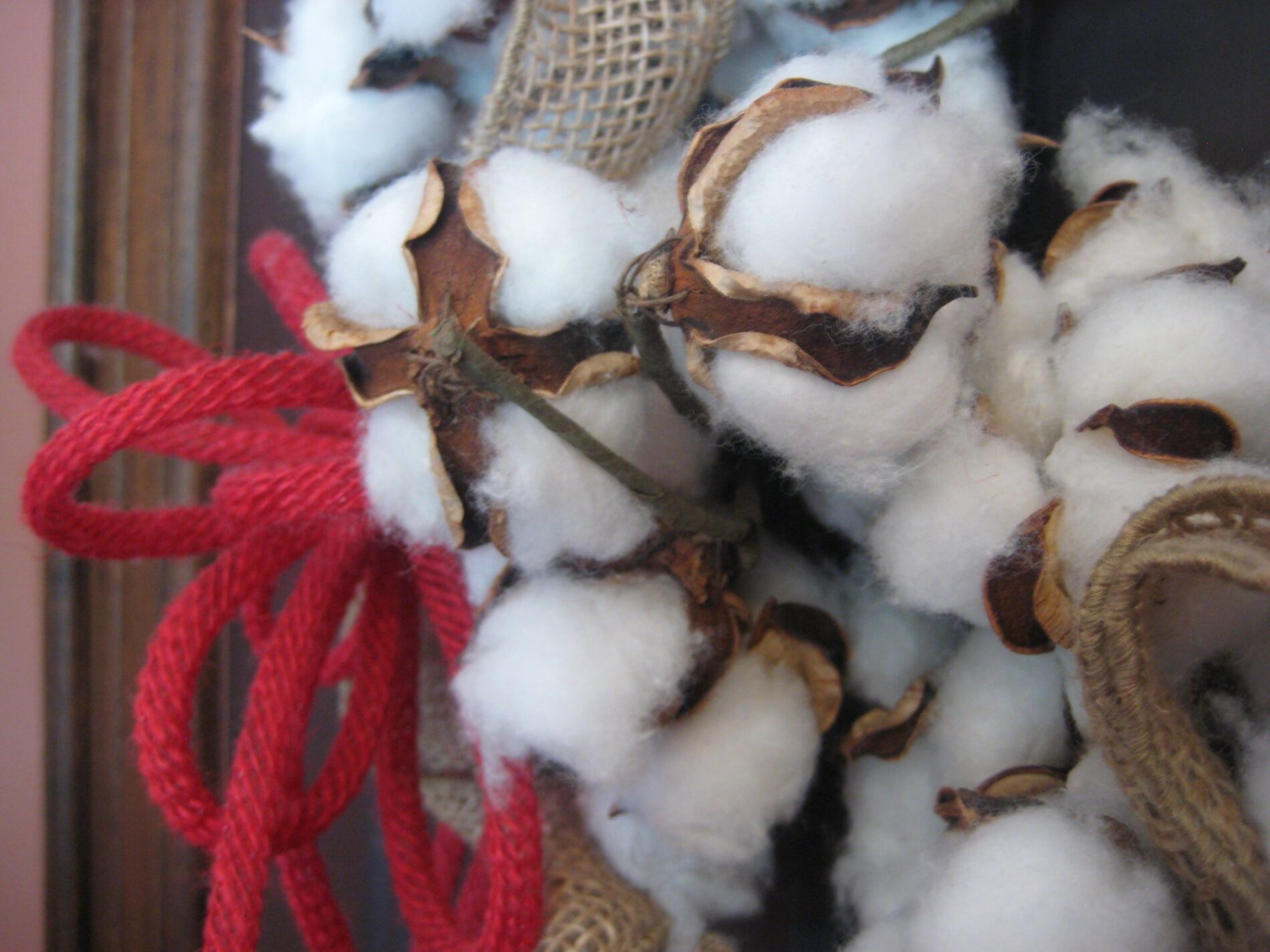 Carolina Cotton Company &#8211; 2