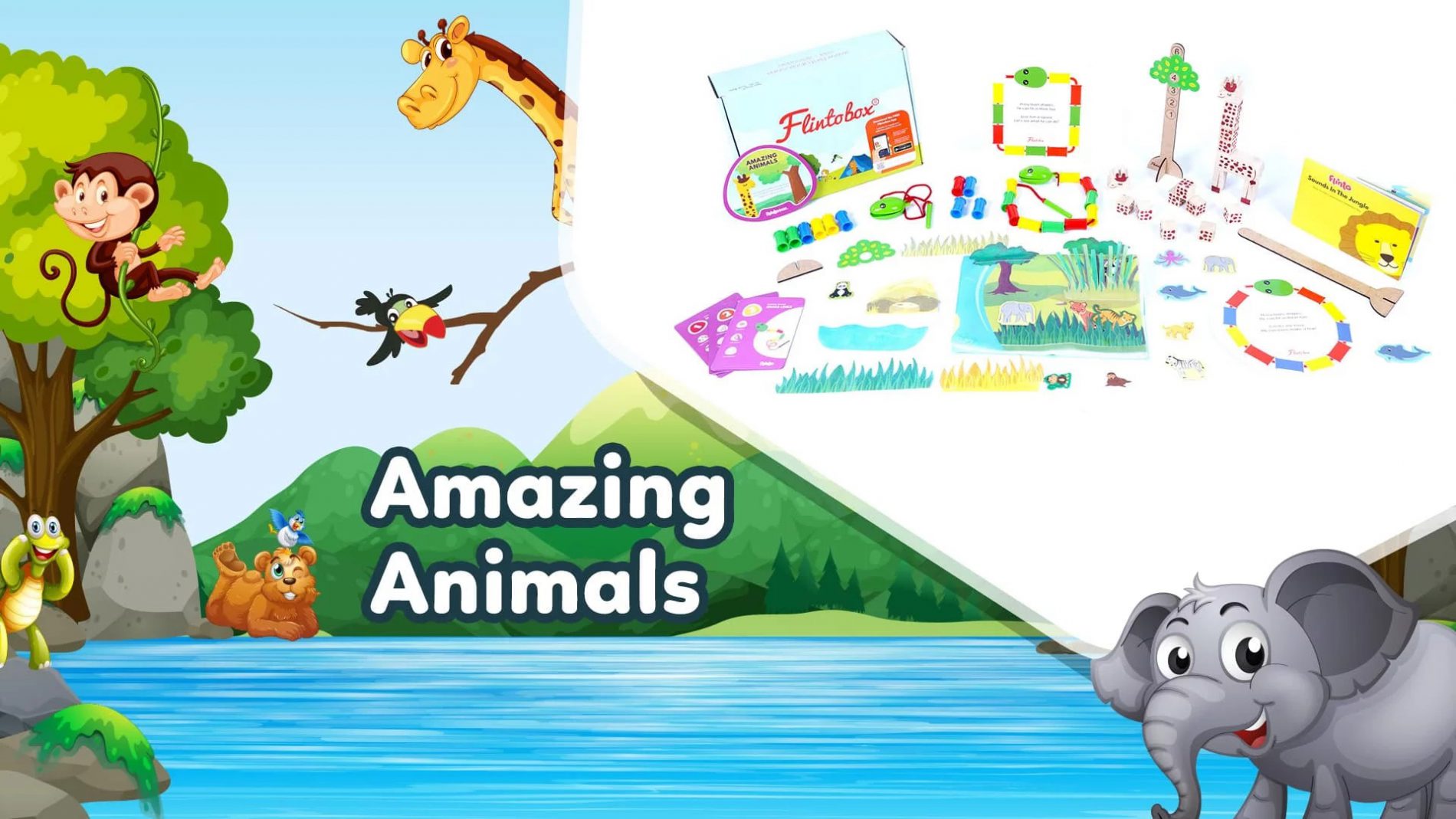 Amazing Animals