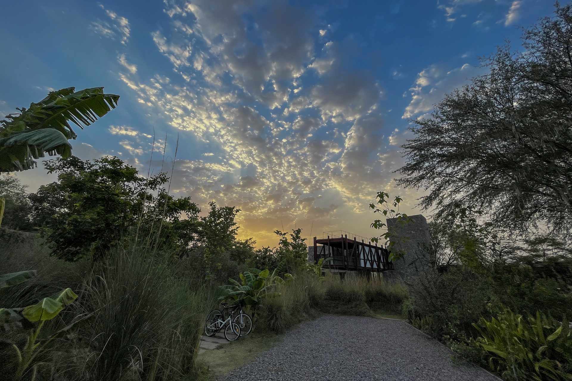 Bagh Safari