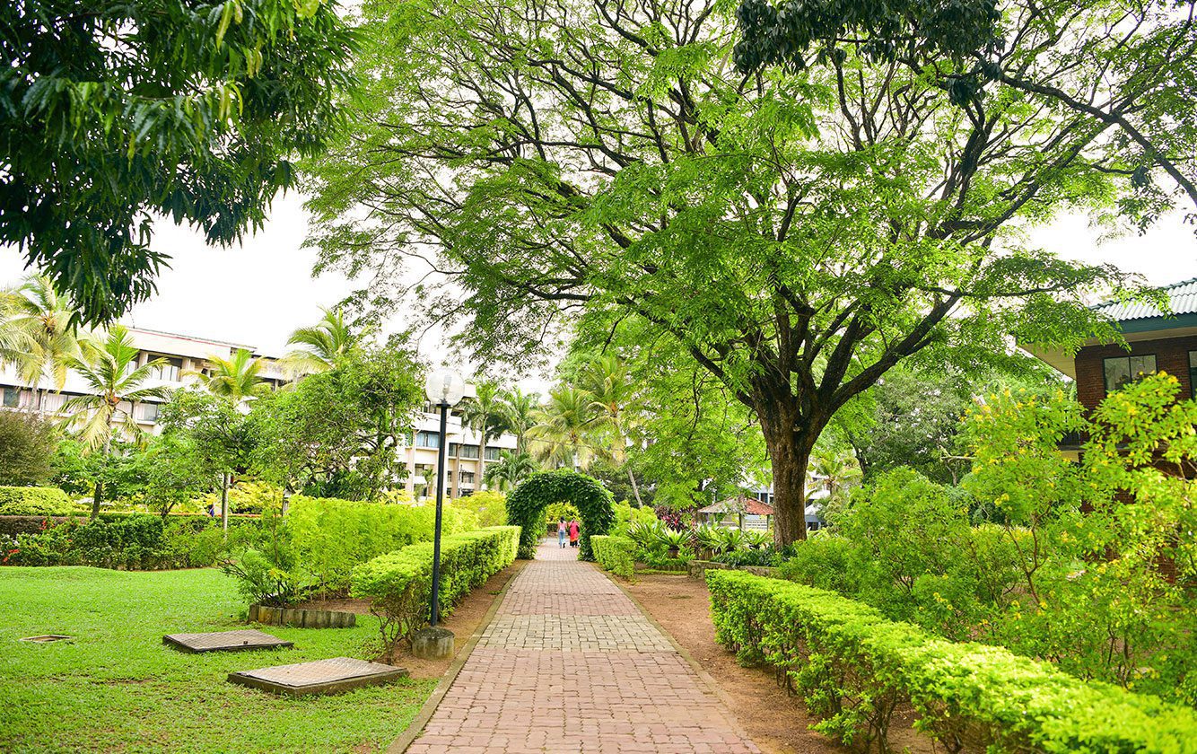 University Of Sri Jayewardenepura Board And University Colombo Go